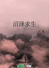再见乔安路